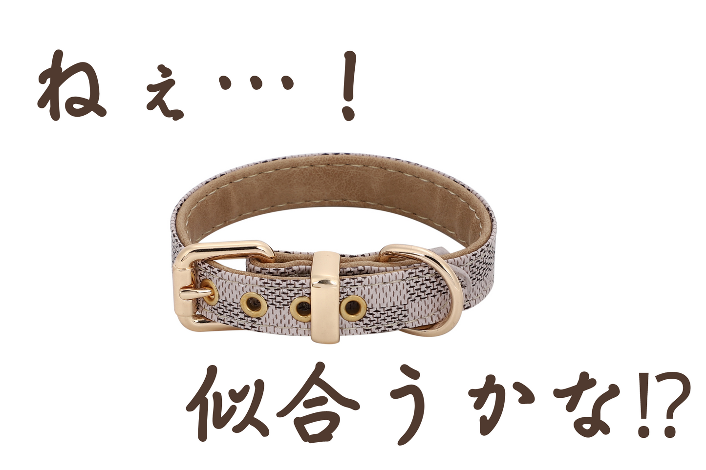 【革製】犬用の首輪